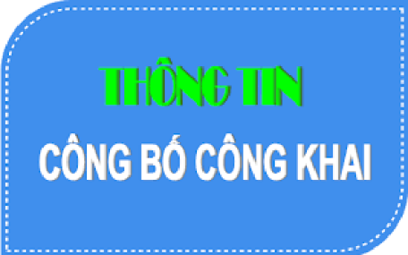 Công bố công khai kết quả vận động xã hội hóa phục vụ  chăm lo Tết Nguyên đán, công tác an sinh xã hội, công tác hậu phương quân đội, hiến máu nhân đạo, giáo dục, khuyến học, khuyến tài năm 2025